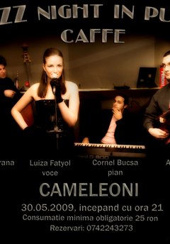 cameleoni_puzzle
