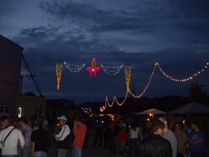 Zilele Orasului Flamanzi 2009