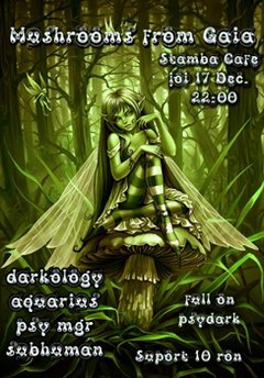 09-12-17-mushroomsfromgaia4