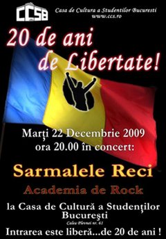 4aa5937sarmale-reci-craciun-web