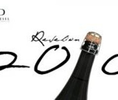 Revelion 2010 in Club Diesel