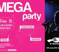 Mega Party