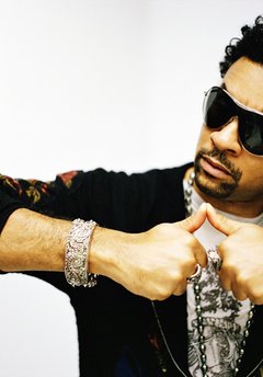 Shaggy