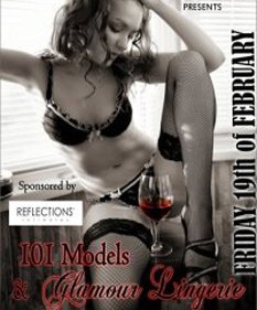 101 Models & Glamour Lingerie