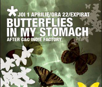 Butterflies in my Stomach