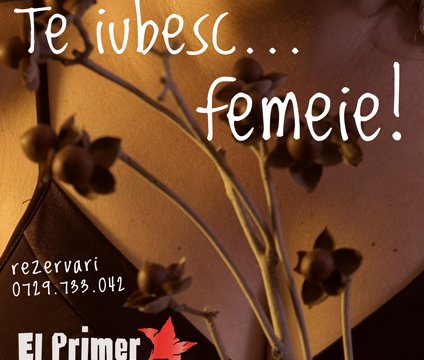 Te iubesc… femeie