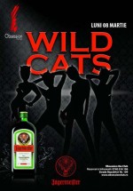 Wild Cats în Club Obsession din Cluj-Napoca