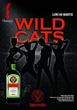 Wild Cats