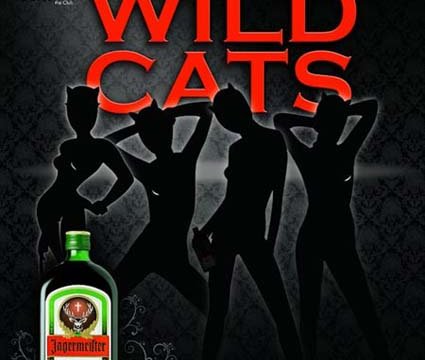 Wild Cats