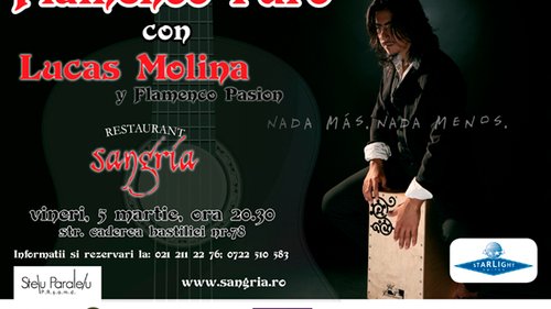 Flamenco Puro