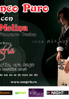 Flamenco Puro