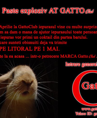Paşte exploziv la Gatto Club din Bucuresti