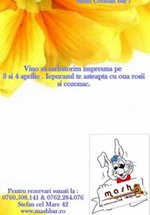 Iepuraşul vine de paşte
