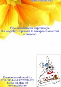 Iepuraşul vine de paşte
