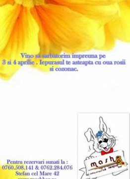 Iepuraşul vine de paşte