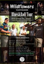 Concert WildFlowers Blues Band în Green Hours din Bucureşti