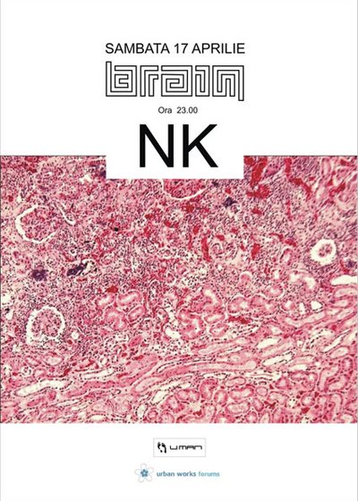 NK în Club Brain din Iaşi