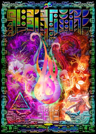 Rebirth:Fire 2010 la Schela