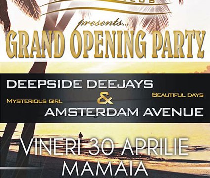 Grand Opening Party