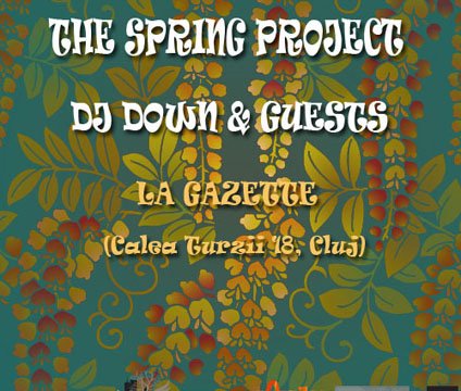 The Spring Project