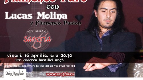 Flamenco Puro con Lucas Molina