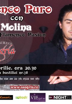 Flamenco Puro con Lucas Molina