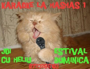 Karaoke