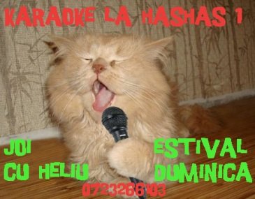 Karaoke la HasHas Coffee & Lounge din Bucureşti
