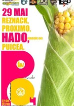 În Porumb 4