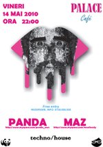 Panda & Maz