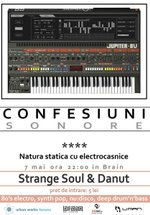 Cofesiuni Sonore IV