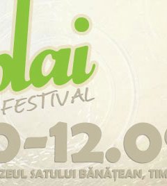 Festivalul Plai 2010