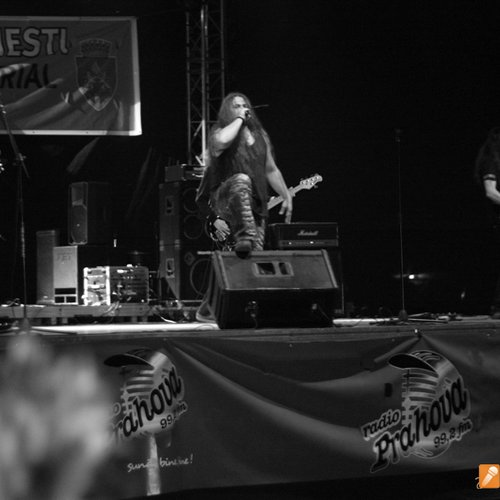 Free Fest