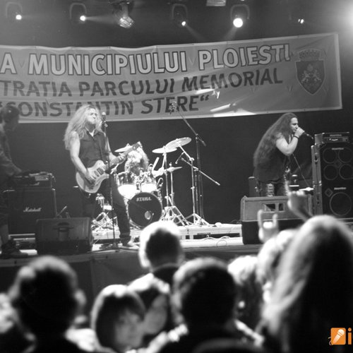 Free Fest