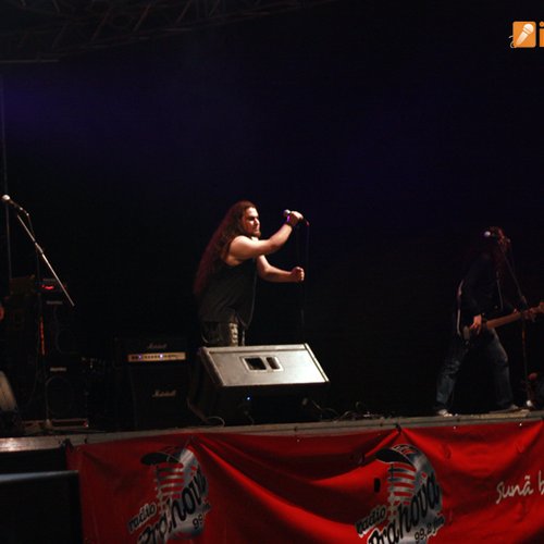 Free Fest