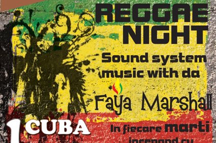 Reggae Night