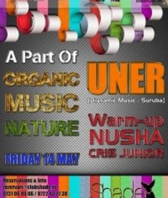Organic Music Nature