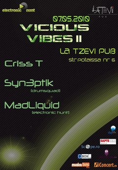 Vicious Vibes II