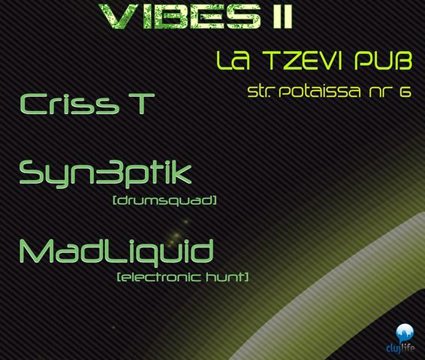 Vicious Vibes II
