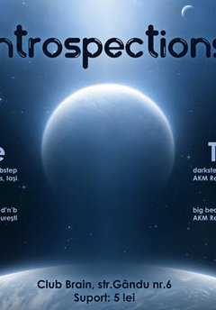 Introspections