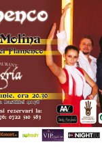 Flamenco con Lucas Molina y Ritmo del Flamenco