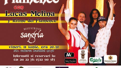 Flamenco con Lucas Molina y Ritmo del Flamenco