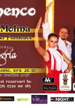 Flamenco con Lucas Molina y Ritmo del Flamenco