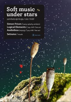 Soft Music Under Stars