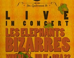 Les Elephants Bizarres