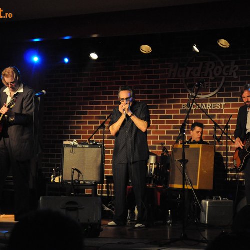 Rick Estrin & The Nightcats