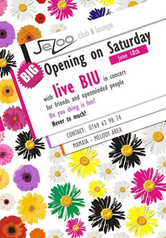 Opening Party