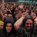 Tuborg Green Fest 2010
