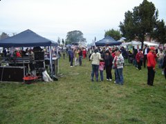 Zilele Tărlungeniului 2010