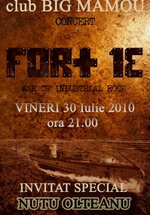 Fort 13